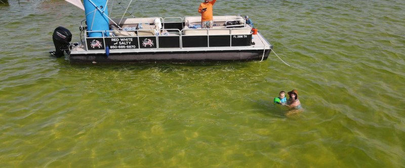 Pontoon boat on green water near bridge, person onboard and two swimming.